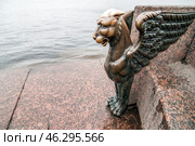 Грифон на набережной Невы в Петербурге (2010 год). Стоковое фото, фотограф Александр Алексеев / Фотобанк Лори
