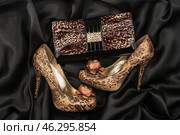 Leopard purse and leopard shoes. Стоковое фото, фотограф Александр Собко / Фотобанк Лори