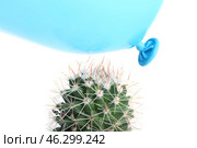 Cactus and air balloon on white background. Стоковое фото, фотограф Pixel_shot / Фотобанк Лори