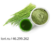 Glass with fresh wheatgrass juice and powder on white background. Стоковое фото, фотограф Pixel_shot / Фотобанк Лори