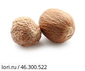 Nutmegs on white background. Стоковое фото, фотограф Pixel_shot / Фотобанк Лори