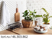 Counter with houseplants and pegboard with kitchen utensils near grey brick wall. Стоковое фото, фотограф Pixel_shot / Фотобанк Лори