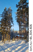 Winter scene with a wooden house among tall pine trees. Snow covers the ground and tree branches, creating the atmosphere of a secluded forest corner. Sun rays break through the trees, casting long shadows on the snow surface and emphasizing the soft shapes of the snowdrifts. The clear blue sky creates a contrast with the white snow and warm shades of the wooden building. The path leading to the house is slightly trampled, which adds coziness and a sense of calm to the scene. Стоковое фото, фотограф Анна Кривицкая / Фотобанк Лори