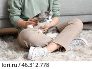 Young woman with cute longhaired cat sitting on floor in living room. Стоковое фото, фотограф Pixel_shot / Фотобанк Лори