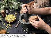 Female alchemist making elixir in laboratory. Стоковое фото, фотограф Pixel_shot / Фотобанк Лори