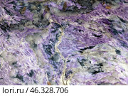 Charoite with aegirine, tinaxite and feldspar. Стоковое фото, фотограф EugeneSergeev / Фотобанк Лори