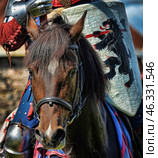 A medieval knight on horseback, participating in a historical reenactment. His equipment includes armor, gauntlets, and red leather gloves. He holds a shield decorated with a heraldic image of a black bear with a red staff, symbolizing strength and nobility.The horse is probably trained for a joust or combat maneuvers, and its bridle and harness are of a medieval style. The appearance of the shield and armor indicates a wealthy and noble warrior, perhaps representing a particular knightly order or heraldic house. Стоковое фото, фотограф Анна Кривицкая / Фотобанк Лори