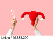 Doctor's hands with female uterus and pap test tools on pink background. Стоковое фото, фотограф Pixel_shot / Фотобанк Лори