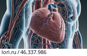 Futuristic Anatomy Showcase, Zooming on a Beating Heart. Стоковое видео, видеограф Данил Руденко / Фотобанк Лори
