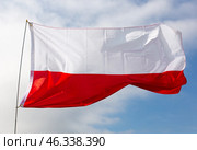 Flag of poland flying with pride with blue sky as background. Стоковое фото, фотограф Яков Филимонов / Фотобанк Лори