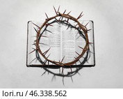 Crown of thorns with Holy Bible on light background. Стоковое фото, фотограф Pixel_shot / Фотобанк Лори