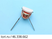 Model of jaw with dental braces and dentist tools on blue background. Стоковое фото, фотограф Pixel_shot / Фотобанк Лори