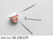Model of jaw with dental braces and tools on light background. Стоковое фото, фотограф Pixel_shot / Фотобанк Лори
