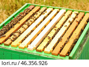 Honey super with frames at apiary. Стоковое фото, фотограф Pixel_shot / Фотобанк Лори