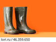 Pair of gumboots on color background. Стоковое фото, фотограф Pixel_shot / Фотобанк Лори