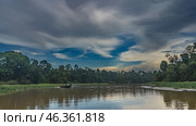 Morning on a calm tropical river. Tourist boats are far away. Thickets of water hyacinths near the shore. Green trees of the impenetrable rain forest. The blue sky. The clouds are highlighted.Malaysia. Стоковое фото, фотограф Вера Ивановна Кубарева / Фотобанк Лори