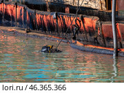 Водолаз осматривает кормовую часть танкера Волгонефть-239. Редакционное фото, фотограф Алексей Шматков / Фотобанк Лори