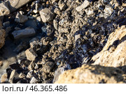 Грунт, загрязненный мазутом. Редакционное фото, фотограф Алексей Шматков / Фотобанк Лори