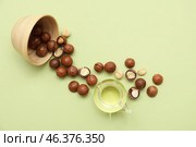 Jug of macadamia oil and overturned bowl with nuts on green background. Стоковое фото, фотограф Pixel_shot / Фотобанк Лори