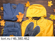Stylish jacket, sweater, jeans, shoes and autumn leaves on wooden background. Стоковое фото, фотограф Pixel_shot / Фотобанк Лори