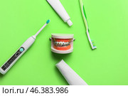 Model of jaw with dental braces, tooth brushes and paste on green background. Стоковое фото, фотограф Pixel_shot / Фотобанк Лори