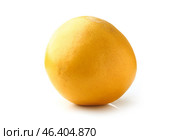 Tasty pomelo fruit on white background. Стоковое фото, фотограф Pixel_shot / Фотобанк Лори