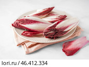 Plate with fresh red endive on light background. Стоковое фото, фотограф Pixel_shot / Фотобанк Лори