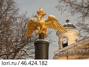 Двуглавый орел на трофейной пушке - ограда Преображенского собора. Санкт-Петербург (2009 год). Стоковое фото, фотограф Александр Алексеев / Фотобанк Лори