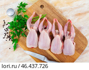 Raw gutted partridges on wooden table with seasonings and greens. Стоковое фото, фотограф Яков Филимонов / Фотобанк Лори