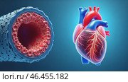 Heart is shown with its red veins and arteries visible. Стоковое AI-видео, аниматор Sergey Grishin / Фотобанк Лори