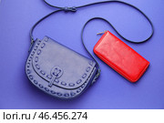 Кошелек с бумажником на цветном фоне. Стоковое фото, фотограф Pixel_shot / Фотобанк Лори