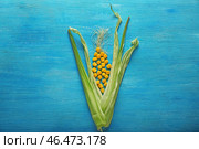 Кукурузная шелуха с ядрами на цветном деревянном столе. Стоковое фото, фотограф Pixel_shot / Фотобанк Лори