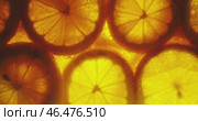 A Bright Citrus Slice Backlit with a Warm and Inviting Glow from Behind the Slice. Стоковое видео, видеограф Владимир Ковальчук / Фотобанк Лори