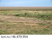 Осень в бескрайних степях Калмыкии (2021 год). Стоковое фото, фотограф Анна Карасева / Фотобанк Лори