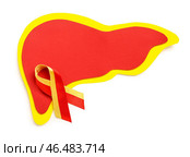Лента осведомленности с бумажной печенью на белом фоне. Концепция гепатита. Стоковое фото, фотограф Pixel_shot / Фотобанк Лори