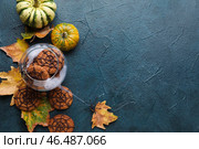 Стеклянная чаша с паутинным печеньем на Хэллоуин, тыквами и опавшими листьями на темном фоне. Стоковое фото, фотограф Pixel_shot / Фотобанк Лори
