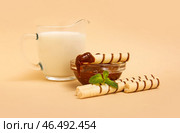 Кувшин молока, вкусные вафельные трубочки, миска с вареной сгущенкой и мятой на бежевом фоне. Стоковое фото, фотограф Pixel_shot / Фотобанк Лори