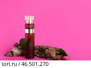 Глубокая красная бутылка парфюма с листьями и деревом на розовом фоне. Стоковое фото, фотограф Pixel_shot / Фотобанк Лори