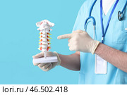 Мужчина-врач указывает на модель позвоночника на синем фоне. Стоковое фото, фотограф Pixel_shot / Фотобанк Лори