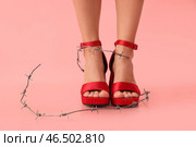 Молодая женщина в высоких каблуках, обмотанных колючей проволокой на розовом фоне. Концепция неудобной обуви. Стоковое фото, фотограф Pixel_shot / Фотобанк Лори