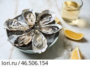 Тарелка с вкусными холодными устрицами на светлом столе. Стоковое фото, фотограф Pixel_shot / Фотобанк Лори