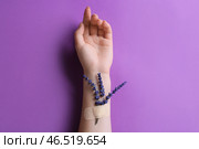 Женская рука с медицинским пластырем и цветами лаванды на цветном фоне. Стоковое фото, фотограф Pixel_shot / Фотобанк Лори