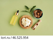 Композиция с миской масла ши, орехами и бутылочками с эфирным маслом на цветном фоне. Стоковое фото, фотограф Pixel_shot / Фотобанк Лори