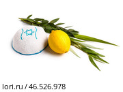 Четыре символа праздника Суккот (лулав, хадас, арава, этрог) и кипа на белом фоне. Стоковое фото, фотограф Pixel_shot / Фотобанк Лори
