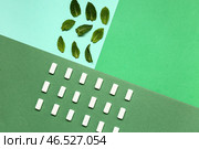 Свежие жевательные резинки с мятой на красочном фоне. Стоковое фото, фотограф Pixel_shot / Фотобанк Лори