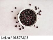 Миска сублимированной черной смородины на светлом фоне. Стоковое фото, фотограф Pixel_shot / Фотобанк Лори
