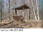 Hay feeder from the forest. Стоковое фото, фотограф Мария Паина / Фотобанк Лори