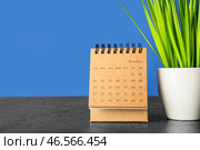Календарь рукоделия и комнатное растение на столе. Стоковое фото, фотограф Pixel_shot / Фотобанк Лори
