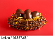 Гнездышко с шоколадными пасхальными яйцами на красном фоне крупным планом. Стоковое фото, фотограф Pixel_shot / Фотобанк Лори