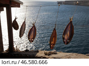 Вяленая кефаль на веревке. Стоковое фото, фотограф Сергей Мальгавко / ТАСС / Фотобанк Лори